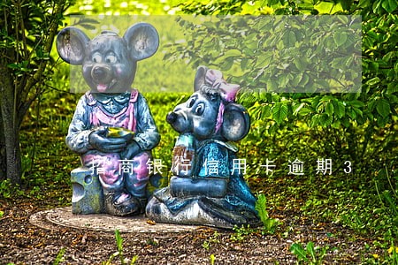 招商银行信用卡逾期3 4天 招商银行信用卡逾期3 4天